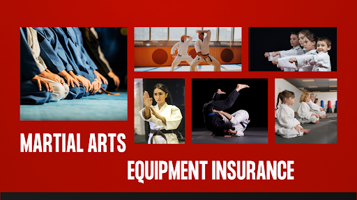 Top Martial Arts Equipment Insurance Coverage Options